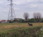 Lee Valley Riding Centre